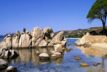 欧陆娱乐官网：[CBA]西蒙斯吊篮下 琼斯旱地拔葱飞身暴.